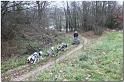 Tour Taunus 156